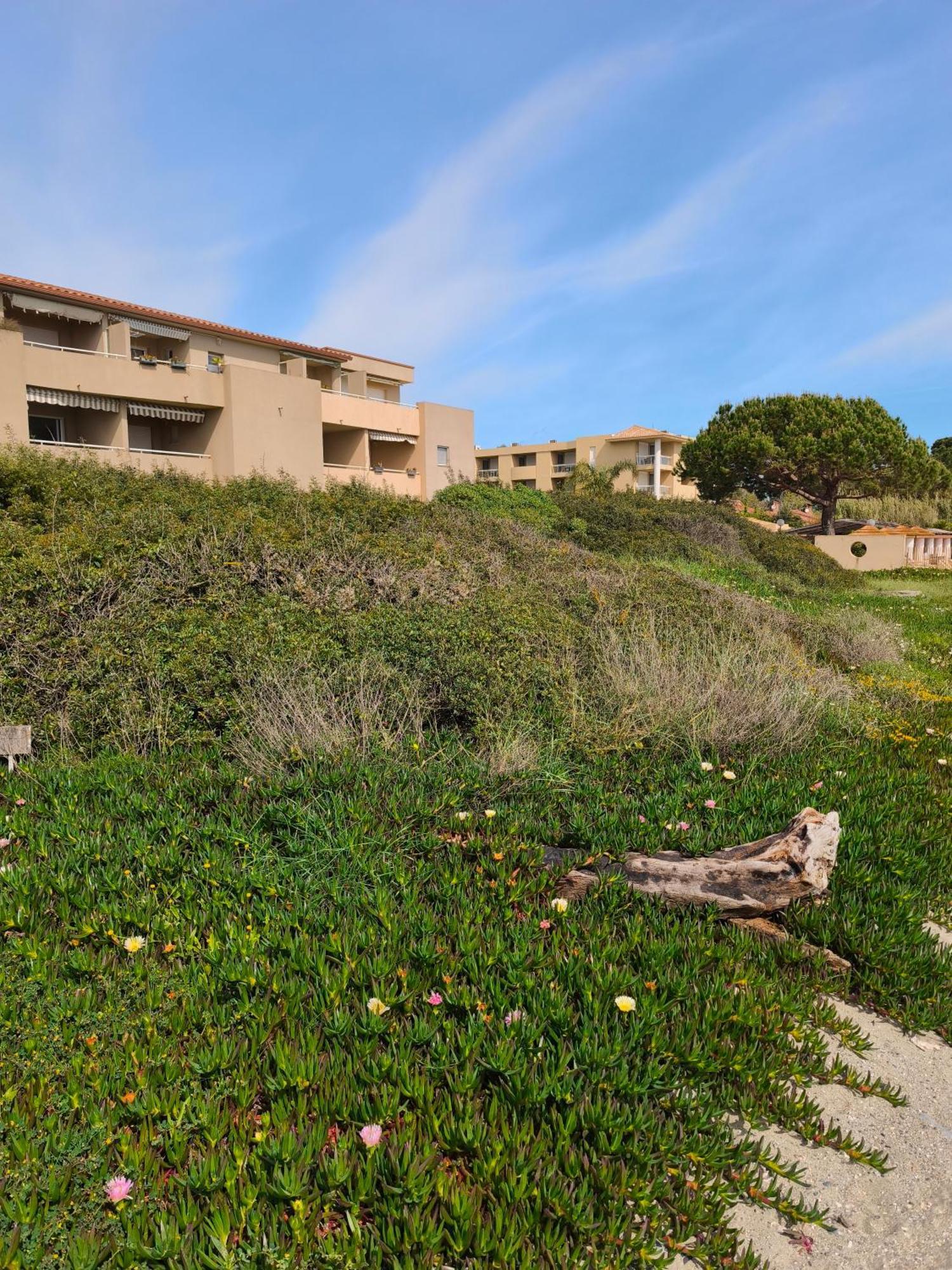 Appartement T2 Bord De Mer - Maria Beach Santa-Lucia-di-Moriani Dış mekan fotoğraf